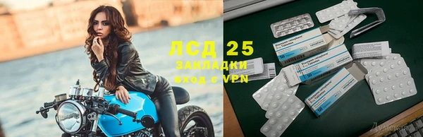 тгк Алзамай