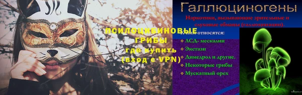 дурь Алексин