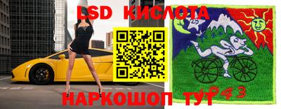 твердый Краснознаменск