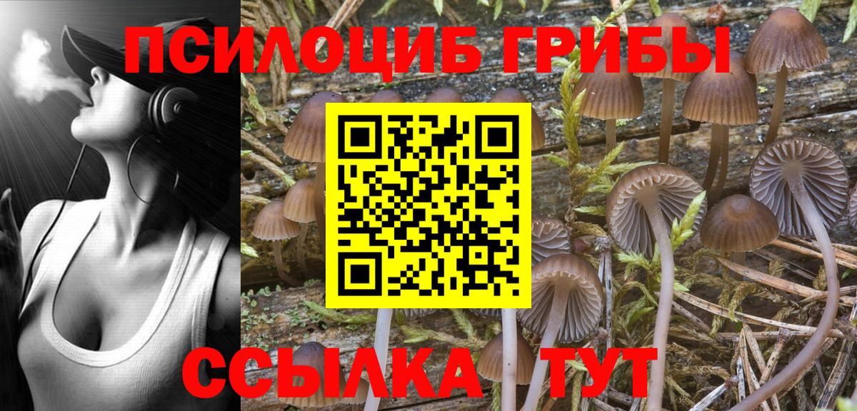 Галлюциногенные грибы Cubensis Нурлат