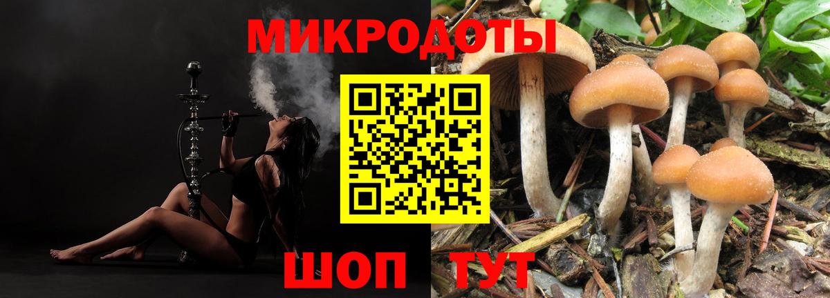 Галлюциногенные грибы GOLDEN TEACHER  Вход с VPN  Нурлат 